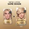 imageLOreal Paris Superior Preference Luminous FadeDefying Permanent Hair Color Hair Dye For Up to 9 Weeks of Radiance Medium Ash Brown 5A 1 Hair Dye Kit Pack of 285A Champagne Blonde