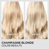 imageLOral Paris Feria Toner Long Lasting AntiBrass Hair Toner for Brunettes Vegan and AmmoniaFree Hair Care Formula Iced Brunette 1 KitChampagne Blonde