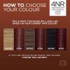 imageLOreal Paris Excellence Universal Nudes Permanent Hair Color Ammonia Free Hair Dye for Gray Hair Coverage 4NR Natural Dark Red 1 Hair Dye Kit