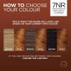 imageLOreal Paris Excellence Universal Nudes Permanent Hair Color Ammonia Free Hair Dye for Gray Hair Coverage 7NR Natural Copper 1 Hair Dye Kit
