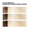 imageLOreal Paris Feria Hyper Platinum Advanced Lightening System Hair Bleach Lifts Up To 8 Levels Includes Anti Brass Purple Conditioner 1 Hair Dye KitHyper Platinum