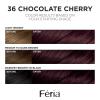 imageLOreal Paris Feria MultiFaceted Shimmering Permanent Hair Color 20 Black Leather Natural Black Pack of 1 Hair Dye36 Deep Burgundy Brown