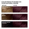 imageLOreal Paris Feria MultiFaceted Shimmering Permanent Hair Color 20 Black Leather Natural Black Pack of 1 Hair Dye36 Deep Burgundy Brown Chocolate Cherry