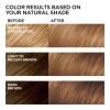 imageLOreal Paris Feria MultiFaceted Shimmering Permanent Hair Color 20 Black Leather Natural Black Pack of 1 Hair Dye63 Sparkling Amber Light Golden Brown