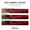 imageLOreal Paris Feria MultiFaceted Shimmering Permanent Hair Color 20 Black Leather Natural Black Pack of 1 Hair DyeR57 Cherry Crush Intense Medium Auburn
