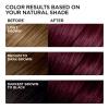 imageLOreal Paris Feria MultiFaceted Shimmering Permanent Hair Color 20 Black Leather Natural Black Pack of 1 Hair DyeV38 Violet Noir