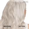 imageLOreal Paris EverPure Silver Care Sulfate Free Shampoo and Conditioner Set Nourishing Vegan Formula with Peptides for Brightening Gray Hair 1 Kit
