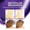 imageLOreal Paris EverPure Ultra Pigmented Anti Brass Purple RinseOut Mask for Bleached Blonde or Highlighted Hair 3 OuncePurple Ampules Treatment