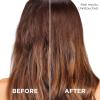 imageLOreal Paris Thickening Sulfate Free Shampoo and Conditioner Thickens  Strengthens Thin Fragile Hair EverPure 1 Hair Care Kit