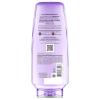 imageLOral Paris Elvive Hyaluron Plump Hydrating Conditioner for Dehydrated Dry Hair Infused with Hyaluronic Acid Care Complex ParabenFree 126 Fl OzFresh Fragrance  Indulge in a blend of bright berries  cherry blossom  sweet vanilla  and sandalwood