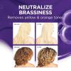imageLOral Paris Sulfate Free Brass Toning Purple Shampoo for Blonde Bleached Silver or Brown Highlighted Hair EverPure 68 Fl Oz Packaging May Vary11 Fl Oz Pack of 1