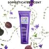 imageLOral Paris Sulfate Free Brass Toning Purple Shampoo for Blonde Bleached Silver or Brown Highlighted Hair EverPure 68 Fl Oz Packaging May Vary68 Fl Oz Pack of 1