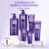 imageLOral Paris Sulfate Free Brass Toning Purple Shampoo for Blonde Bleached Silver or Brown Highlighted Hair EverPure 68 Fl Oz Packaging May Vary68 Fl Oz Pack of 1