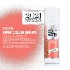 imageLOreal Paris Colorista 1Day Washable Temporary Hair Color Spray Coral Pink 2 OunceCoral Pink