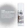 imageLOreal Paris Colorista 1Day Washable Temporary Hair Color Spray Coral Pink 2 OunceSilver
