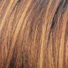 imageLOreal Paris Couleur Experte 2Step Home Hair Color and Highlights Kit Toasted Coconut6 Light BrownAlmond Rocca