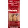 imageLOreal Paris Couleur Experte 2Step Home Hair Color and Highlights Kit Toasted Coconut6 Light BrownAlmond Rocca