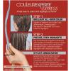 imageLOreal Paris Couleur Experte 2Step Home Hair Color and Highlights Kit Toasted Coconut61 Light Ash BrownFrench Eclair