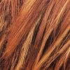 imageLOreal Paris Couleur Experte 2Step Home Hair Color and Highlights Kit Toasted Coconut64 Light Golden Copper BrownGinger Twist