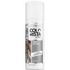 imageLOreal Paris Colorista 1Day Washable Temporary Hair Color Spray Coral Pink 2 OunceSilver
