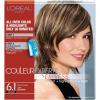 6.1 Light Ash Brown/French Eclair