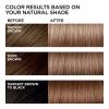 imageLOreal Paris Feria MultiFaceted Shimmering Permanent Hair Color 21 Starry Night Hair Dye Kit Pack of 2B61 Downtown Brown HiLift Cool Brown