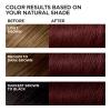 imageLOreal Paris Feria MultiFaceted Shimmering Permanent Hair Color 21 Starry Night Hair Dye Kit Pack of 2R37 Blowout Burgundy Deep Burgundy