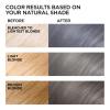 imageLOreal Paris Feria MultiFaceted Shimmering Permanent Hair Color 21 Starry Night Hair Dye Kit Pack of 2S1 Smokey Silver