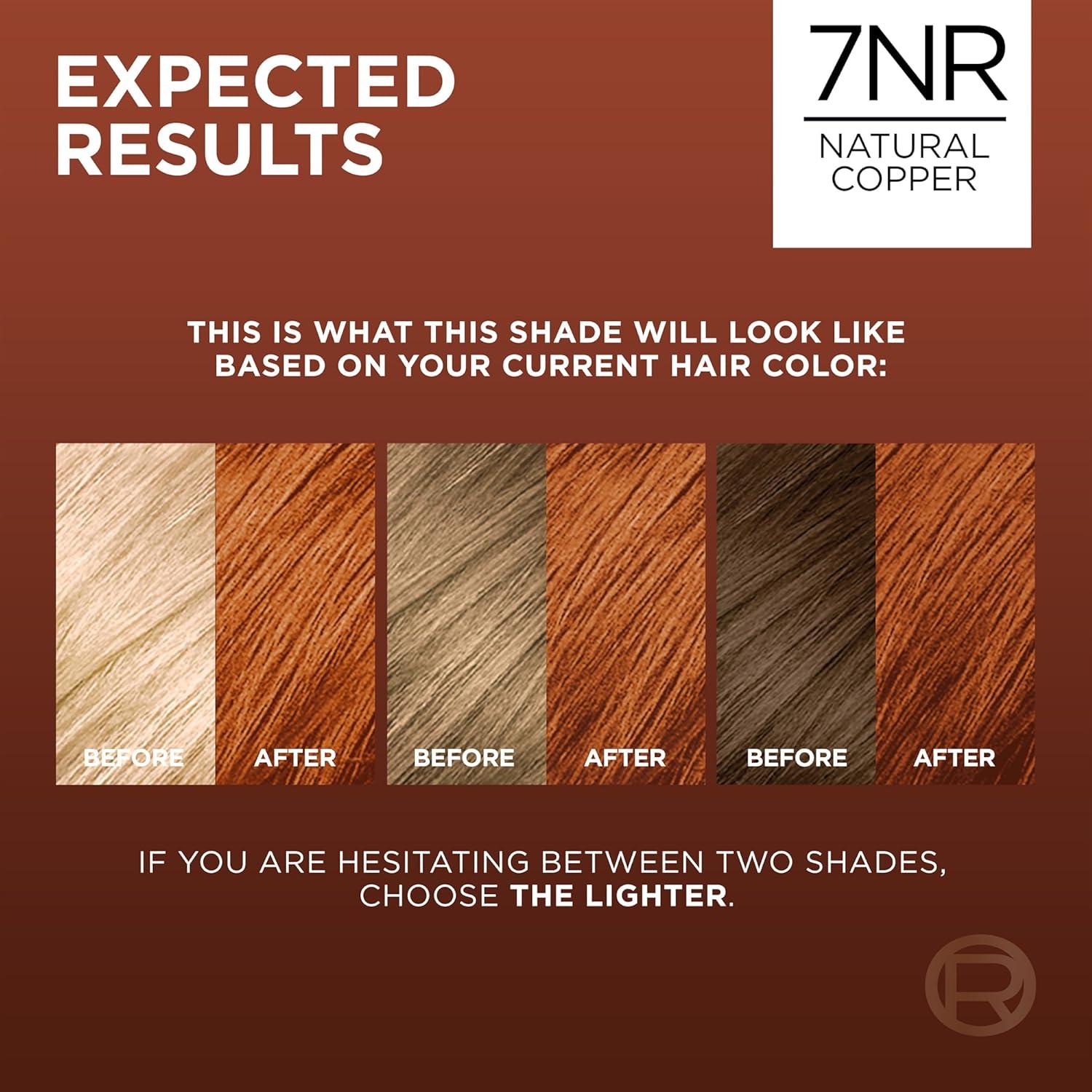 image:imageLOreal Paris Excellence Universal Nudes Permanent Hair Color Ammonia Free Hair Dye for Gray Hair Coverage 6N Natural Light Brown 1 Kit Pack of 2Core Natural Copper
