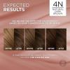 image:imageLOreal Paris Excellence Universal Nudes Permanent Hair Color Ammonia Free Hair Dye for Gray Hair Coverage 6N Natural Light Brown 1 Kit Pack of 24N Natural Dark Brown