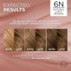 image:imageLOreal Paris Excellence Universal Nudes Permanent Hair Color Ammonia Free Hair Dye for Gray Hair Coverage 6N Natural Light Brown 1 Kit Pack of 26N Natural Light Brown