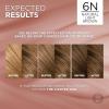 image:imageLOreal Paris Excellence Universal Nudes Permanent Hair Color Ammonia Free Hair Dye for Gray Hair Coverage 6N Natural Light Brown 1 Kit Pack of 26N Natural Light Brown