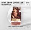 image:imageLOreal Paris Excellence Universal Nudes Permanent Hair Color Ammonia Free Hair Dye for Gray Hair Coverage 6N Natural Light Brown 1 Kit Pack of 2Core Natural Dark Red