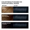 image:imageLOreal Paris Feria MultiFaceted Shimmering Permanent Hair Color High Intensity Hair Dye for 3X Highlights 10 Jet Black 1 Kit Pack of 221 Starry Night Bright Black