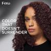 image:imageLOreal Paris Feria MultiFaceted Shimmering Permanent Hair Color High Intensity Hair Dye for 3X Highlights 10 Jet Black 1 Kit Pack of 226 Black Chery Deepest Magenta