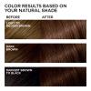 image:imageLOreal Paris Feria MultiFaceted Shimmering Permanent Hair Color High Intensity Hair Dye for 3X Highlights 10 Jet Black 1 Kit Pack of 245 French Roast