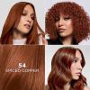 image:imageLOreal Paris Feria MultiFaceted Shimmering Permanent Hair Color High Intensity Hair Dye for 3X Highlights 10 Jet Black 1 Kit Pack of 254 Spiced Copper