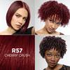 image:imageLOreal Paris Feria MultiFaceted Shimmering Permanent Hair Color High Intensity Hair Dye for 3X Highlights 10 Jet Black 1 Kit Pack of 2R57 Cherry Crush Intense Medium Auburn