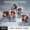image:imageLOreal Paris Feria MultiFaceted Shimmering Permanent Hair Color High Intensity Hair Dye for 3X Highlights 10 Jet Black 1 Kit Pack of 2Twilight Haze