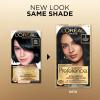 image:imageLOreal Paris Superior Preference Luminous FadeDefying Permanent Hair Color Hair Dye For Up to 9 Weeks of Radiance 6AM Light Amber Brown 1 Kit Pack of 202 Natural Black