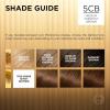 image:imageLOreal Paris Superior Preference Luminous FadeDefying Permanent Hair Color Hair Dye For Up to 9 Weeks of Radiance 6AM Light Amber Brown 1 Kit Pack of 25CB Medium Chestnut Brown