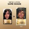 image:imageLOreal Paris Superior Preference Luminous FadeDefying Permanent Hair Color Hair Dye For Up to 9 Weeks of Radiance 6AM Light Amber Brown 1 Kit Pack of 201 Ultimate Black