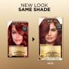 image:imageLOreal Paris Superior Preference Luminous FadeDefying Permanent Hair Color Hair Dye For Up to 9 Weeks of Radiance 6AM Light Amber Brown 1 Kit Pack of 2RR04 Intense Dark Red