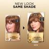 image:imageLOreal Paris Superior Preference Luminous FadeDefying Permanent Hair Color Hair Dye For Up to 9 Weeks of Radiance 6AM Light Amber Brown 1 Kit Pack of 26AM Light Amber Brown