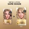 image:imageLOreal Paris Superior Preference Luminous FadeDefying Permanent Hair Color Hair Dye For Up to 9 Weeks of Radiance 6AM Light Amber Brown 1 Kit Pack of 275A Medium Ash Blonde