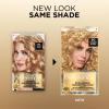 image:imageLOreal Paris Superior Preference Luminous FadeDefying Permanent Hair Color Hair Dye For Up to 9 Weeks of Radiance 6AM Light Amber Brown 1 Kit Pack of 28G Golden Blonde