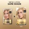image:imageLOreal Paris Superior Preference Luminous FadeDefying Permanent Hair Color Hair Dye For Up to 9 Weeks of Radiance 6AM Light Amber Brown 1 Kit Pack of 209 Natural Blonde