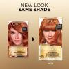 image:imageLOreal Paris Superior Preference Luminous FadeDefying Permanent Hair Color Hair Dye For Up to 9 Weeks of Radiance 6AM Light Amber Brown 1 Kit Pack of 27LA Lightest Auburn