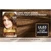 image:imageLOreal Paris Superior Preference Luminous FadeDefying Permanent Hair Color Hair Dye For Up to 9 Weeks of Radiance 6AM Light Amber Brown 1 Kit Pack of 2U163 HiLift Gold Brown