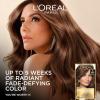 image:imageLOreal Paris Superior Preference Luminous FadeDefying Permanent Hair Color Hair Dye For Up to 9 Weeks of Radiance 6AM Light Amber Brown 1 Kit Pack of 2RR04 Intense Dark Red